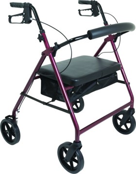 Compass Rollator With 6 Wheel - CH-A22100