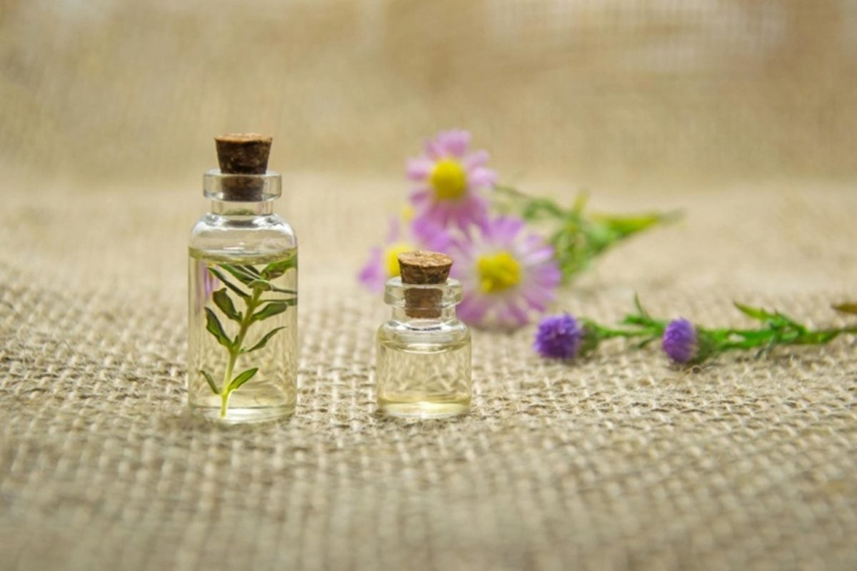 Best Essential Oils For Fall And Winter