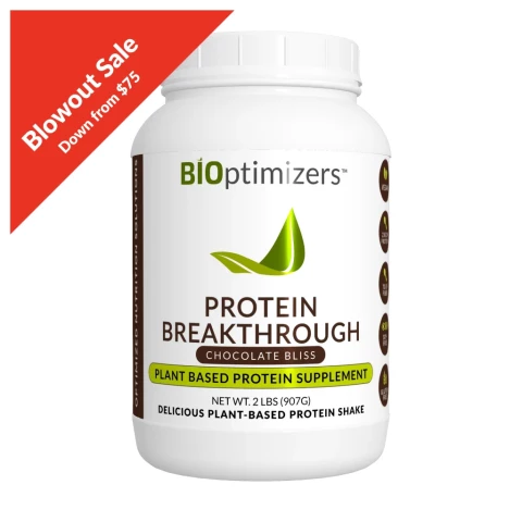 BiOptimizer Protein Breakthrough-Chocolate Bliss