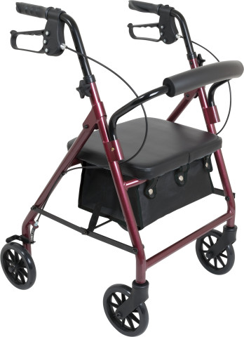 Compass ProBasics Junior Rollator with 6" Wheels